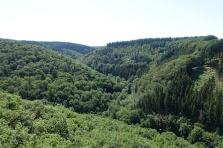 Wandern im Hunsrück