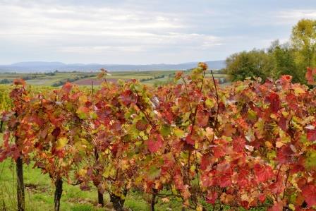 Landschaftsfotografie im Oktober