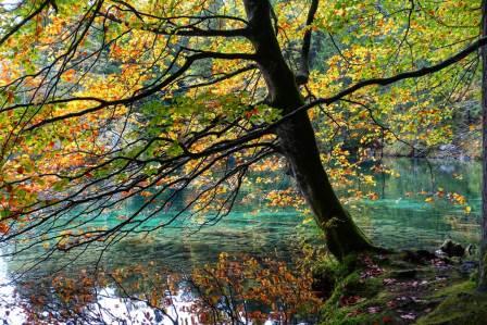 Fotografieren im Herbst N. Köller