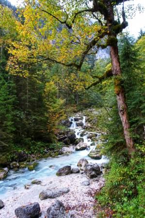 Naturfotografie im Herbst N.Köller