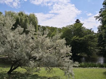 Sachverständiger Hauskauf Wetterau