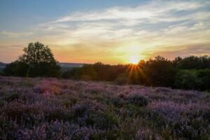 Sonnenuntergang-am-Heideblick