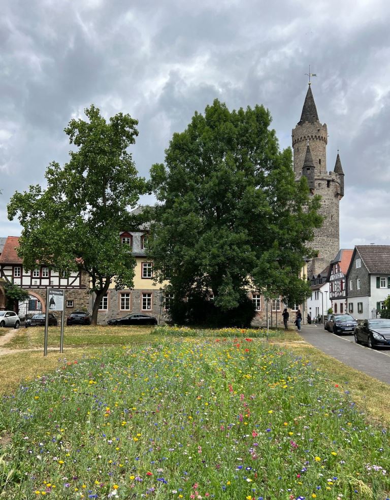 Immobiliengutachter Wertgutachten Friedberg